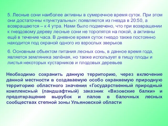 5. Лесные сони наиболее активны в сумеречное время суток. При этом они