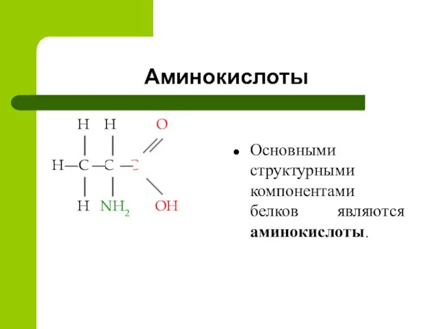 Аминокислоты H H O H C C C H NH2 OH Основными