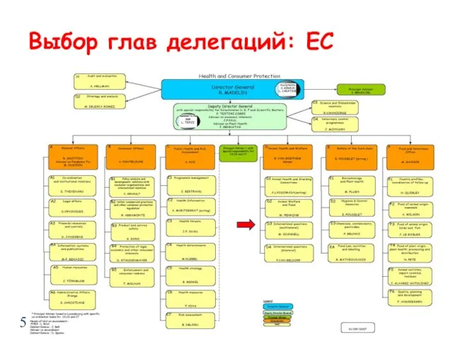 Codex Training Package June 2004 Выбор глав делегаций: EC