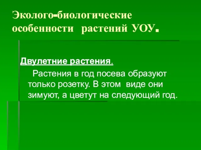 Эколого-биологические особенности растений УОУ. Двулетние растения. Растения в год посева образуют только