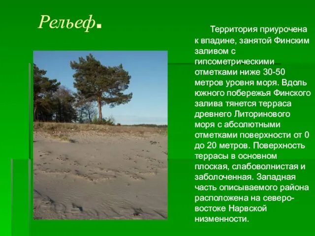 Рельеф. Территория приурочена к впадине, занятой Финским заливом с гипсометрическими отметками ниже