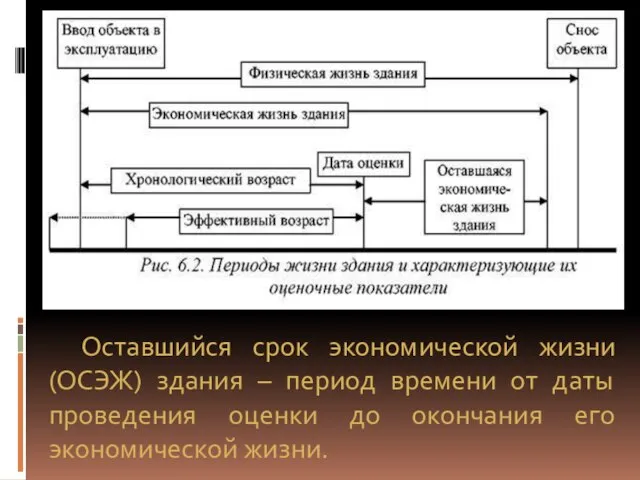 Оставшийся срок экономической жизни (ОСЭЖ) здания – период времени от даты проведения