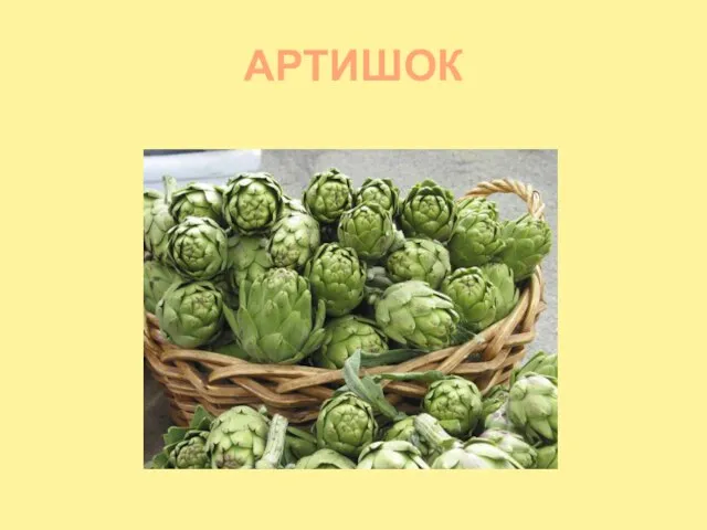 АРТИШОК