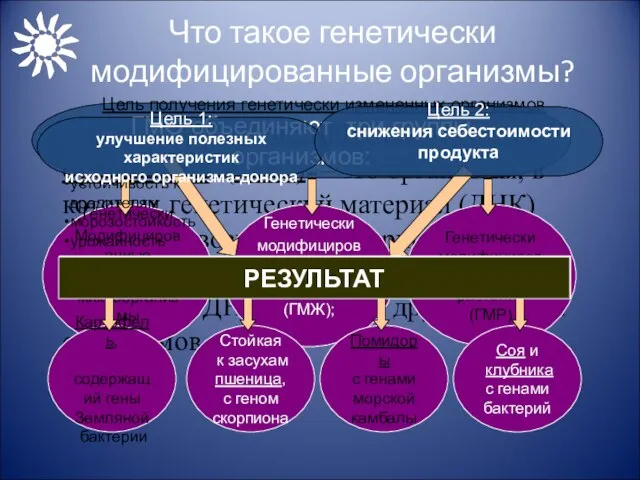 Что такое генетически модифицированные организмы? Генетически модифицированные организмы (ГМО) – это организмы,