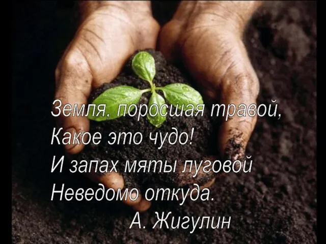 Земля, поросшая травой, Какое это чудо! И запах мяты луговой Неведомо откуда. А. Жигулин