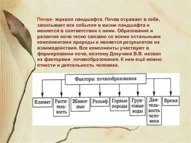 Почва- зеркало ландшафта. Почва отражает в себе, записывает все события в жизни