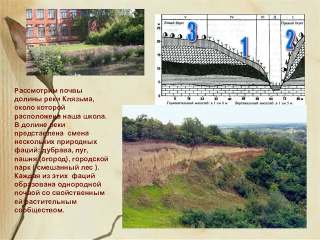 3 2 1 Рассмотрим почвы долины реки Клязьма, около которой расположена наша