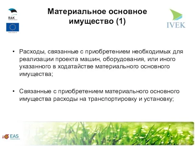 Материальное основное имущество (1) Расходы, связанные с приобретением необходимых для реализации проекта