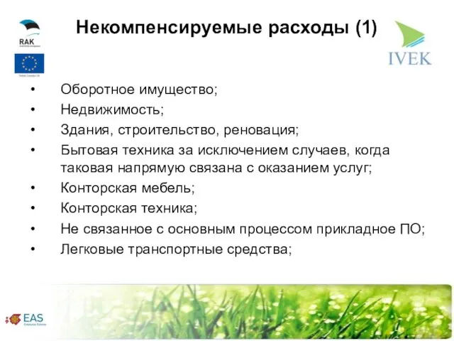 Некомпенсируемые расходы (1) Оборотное имущество; Недвижимость; Здания, строительство, реновация; Бытовая техника за