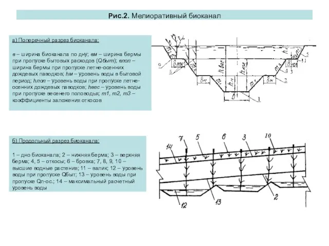 Рис.2. Мелиоративный биоканал а) Поперечный разрез биоканала: в – ширина биоканала по