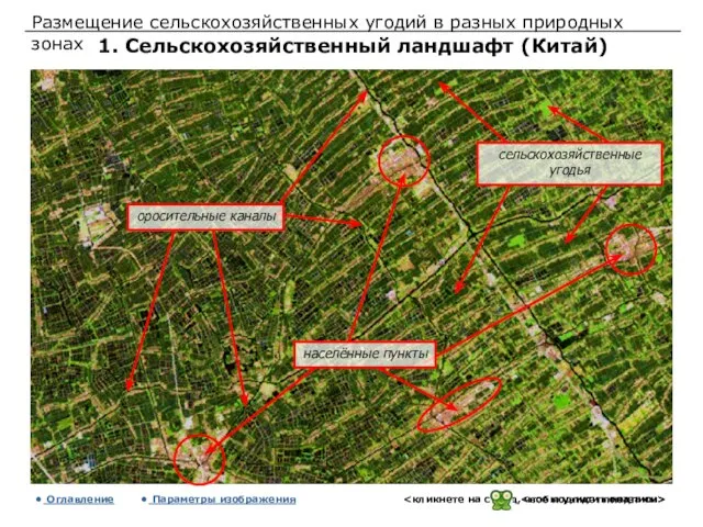 Размещение сельскохозяйственных угодий в разных природных зонах 1. Сельскохозяйственный ландшафт (Китай) Оглавление Параметры изображения