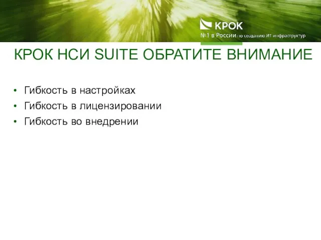 Гибкость в настройках Гибкость в лицензировании Гибкость во внедрении КРОК НСИ SUITE ОБРАТИТЕ ВНИМАНИЕ