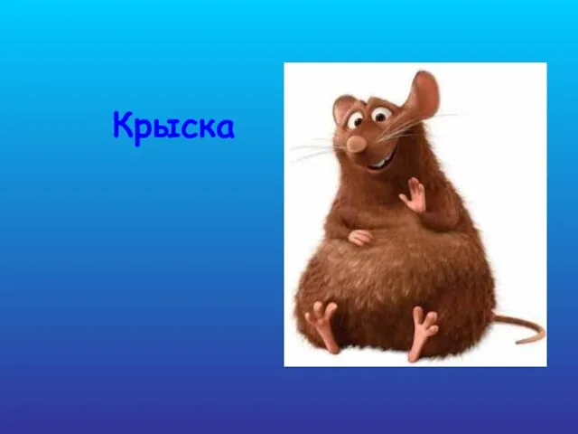 Крыска