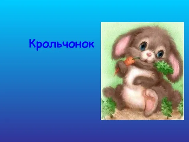 Крольчонок