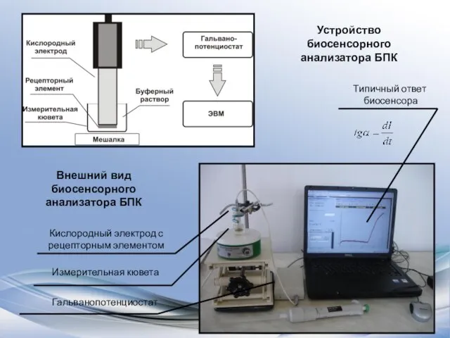Устройство биосенсорного анализатора БПК Внешний вид биосенсорного анализатора БПК Гальванопотенциостат Кислородный электрод