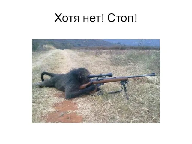 Хотя нет! Стоп!