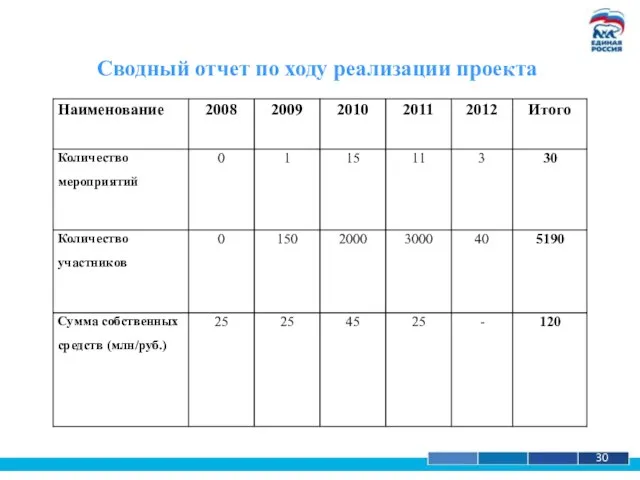 1 30 Сводный отчет по ходу реализации проекта