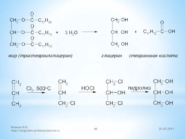 жир (тристеароилглицерин) глицерин стеариновая кислота 25.03.2011 Нижник Я.П. http://norgchem.professorjournal.ru