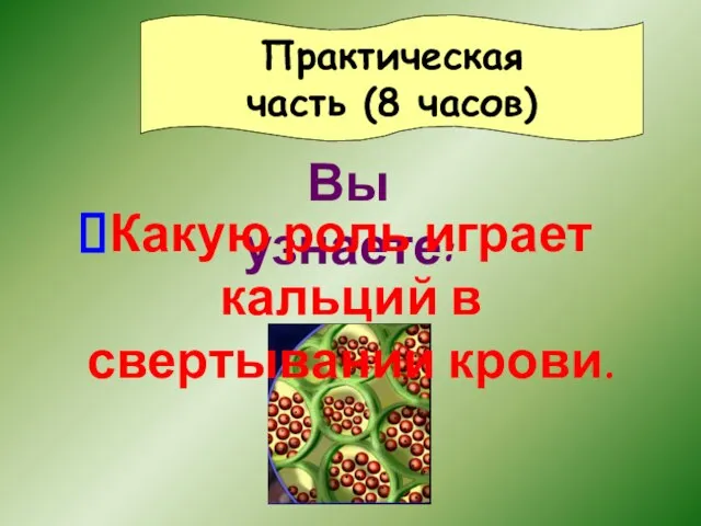 Практическая часть (8 часов) Вы узнаете: Какую роль играет кальций в свертывании крови.