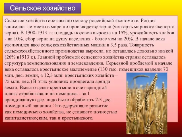 Сельское хозяйство Сельское хозяйство составляло основу российской экономики. Россия занимала 1-е место