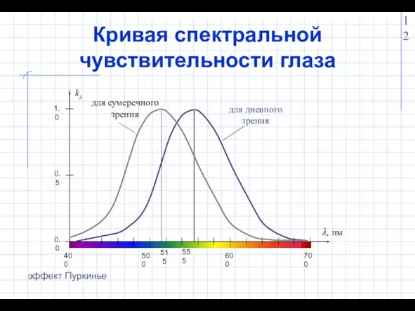 Кривая спектральной чувствительности глаза