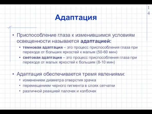 Адаптация Приспособление глаза к изменившимся условиям освещенности называется адаптацией: темновая адаптация –