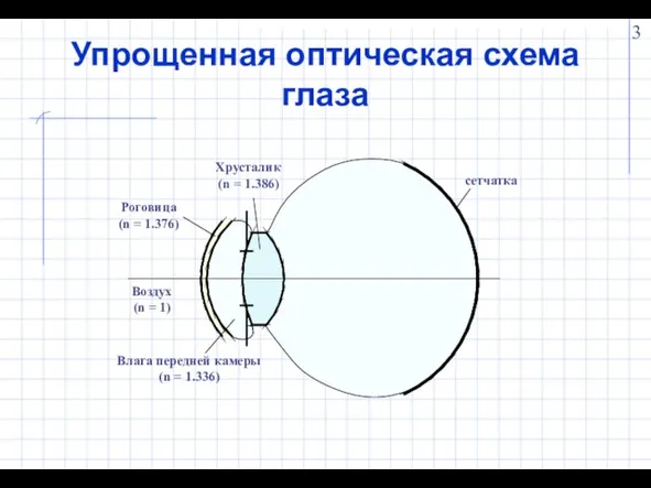 Упрощенная оптическая схема глаза Влага передней камеры (n = 1.336) сетчатка Роговица