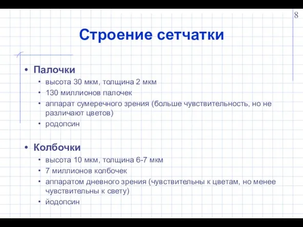 Строение сетчатки Палочки высота 30 мкм, толщина 2 мкм 130 миллионов палочек