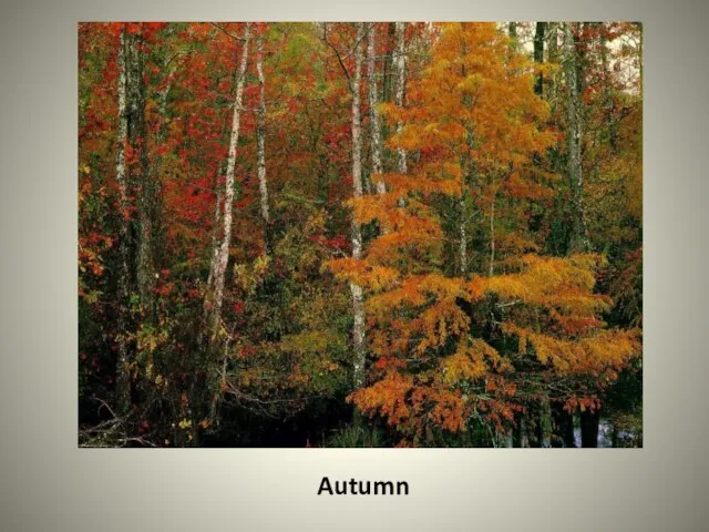 Autumn