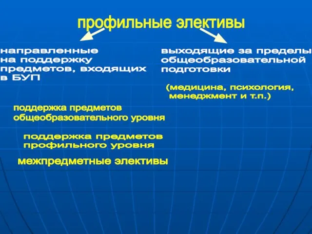 профильные элективы направленные на поддержку предметов, входящих в БУП выходящие за пределы