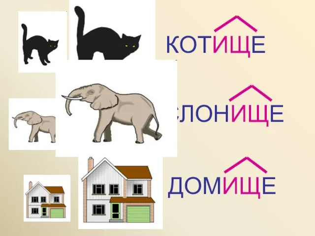 КОТИЩЕ СЛОНИЩЕ ДОМИЩЕ