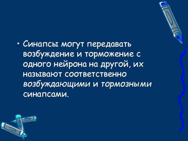 Синапсы могут передавать возбуждение и торможение с одного нейрона на другой, их