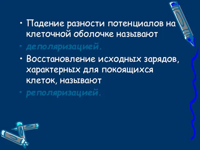 Падение разности потенциалов на клеточной оболочке называют деполяризацией. Восстановление исходных зарядов, характерных