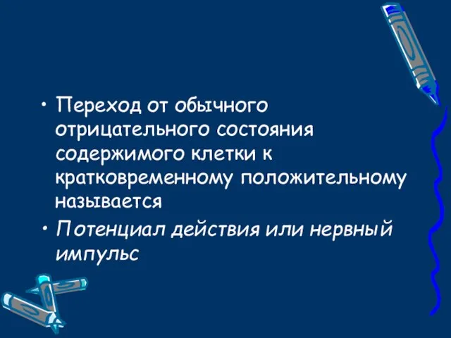 Переход от обычного отрицательного состояния содержимого клетки к кратковременному положительному называется Потенциал действия или нервный импульс