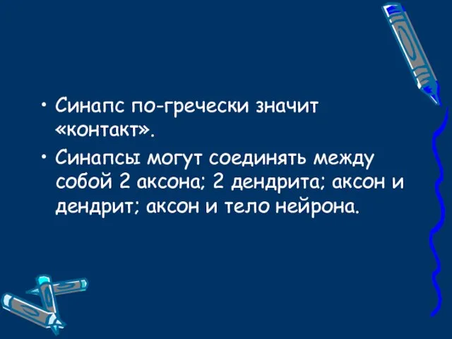 Синапс по-гречески значит «контакт». Синапсы могут соединять между собой 2 аксона; 2