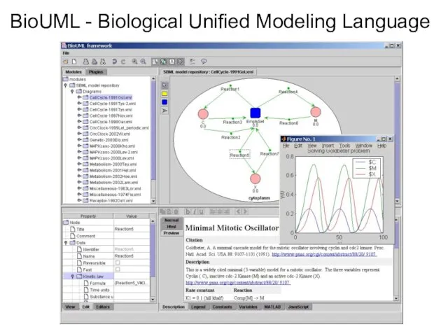 BioUML - Biological Unified Modeling Language