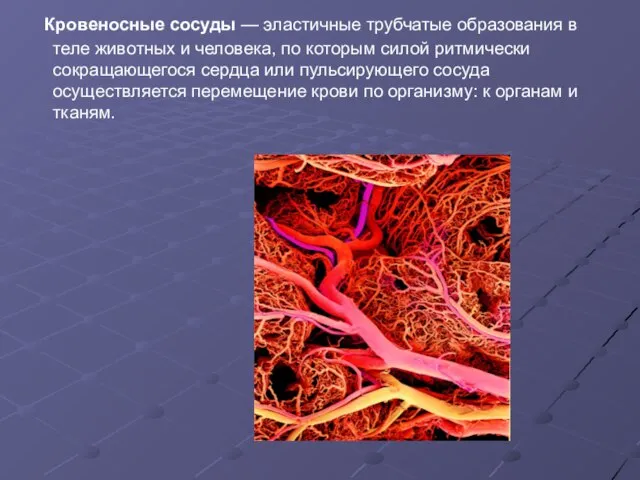 Кровеносные сосуды — эластичные трубчатые образования в теле животных и человека, по
