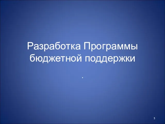 Разработка Программы бюджетной поддержки .