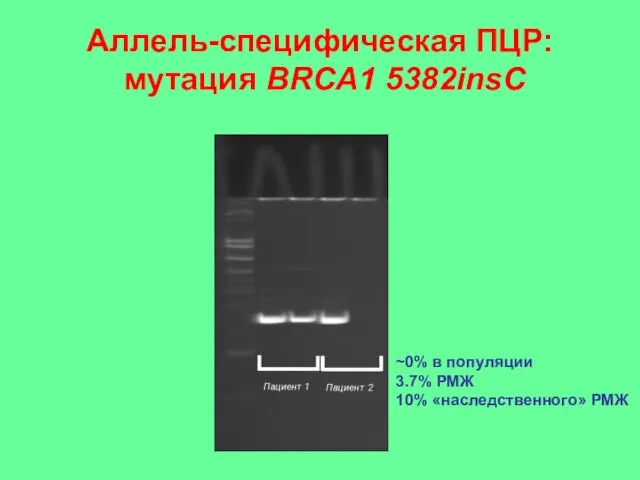 Аллель-специфическая ПЦР: мутация BRCA1 5382insC ~0% в популяции 3.7% РМЖ 10% «наследственного» РМЖ