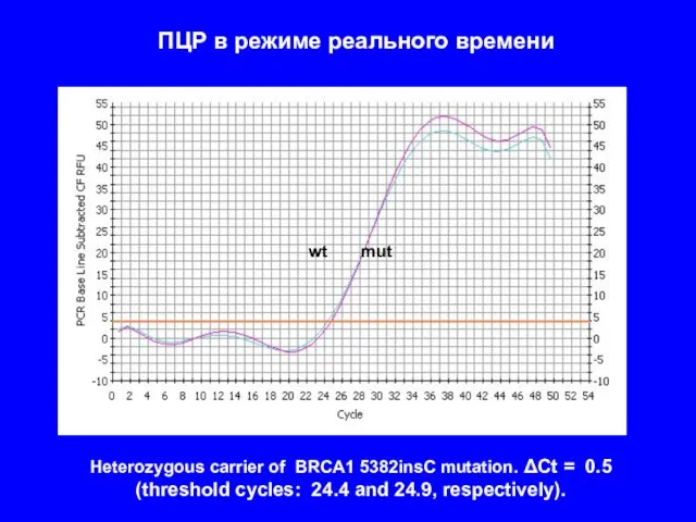 Heterozygous carrier of BRCA1 5382insC mutation. ΔCt = 0.5 (threshold cycles: 24.4