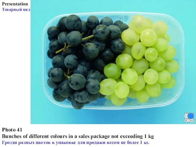 Photo 41 Bunches of different colours in a sales package not exceeding