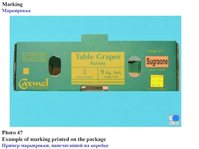 Photo 47 Example of marking printed on the package Пример маркировки, напечатанной на коробке Marking Маркировка