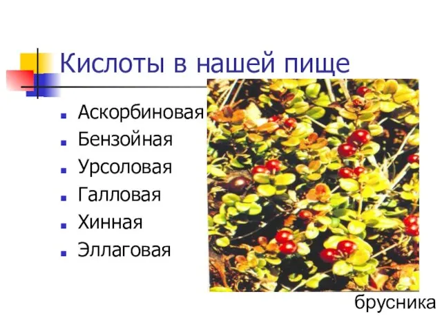 Кислоты в нашей пище Аскорбиновая Бензойная Урсоловая Галловая Хинная Эллаговая брусника