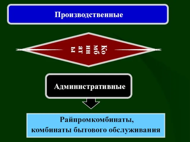 Производственные Административные Комбинаты Райпромкомбинаты, комбинаты бытового обслуживания