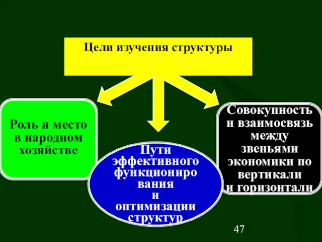 Цели изучения структуры Роль и место в народном хозяйстве Совокупность и взаимосвязь