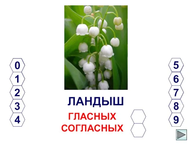 ГЛАСНЫХ СОГЛАСНЫХ ЛАНДЫШ 0 1 2 3 5 4 6 7 8 9