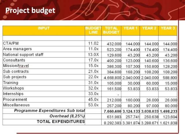 Project budget