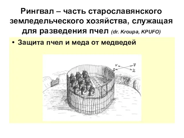 Рингвал – часть старославянского земледельческого хозяйства, служащая для разведения пчел (dr. Kroupa,