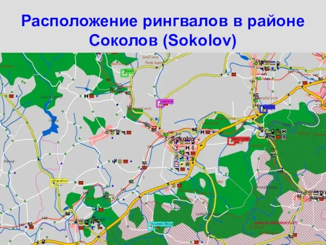 Расположение рингвалов в районе Соколов (Sokolov)