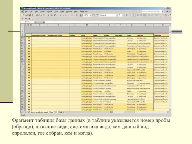 Фрагмент таблицы базы данных (в таблице указывается номер пробы (образца), название вида,